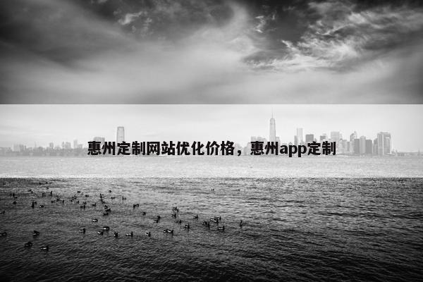 惠州定制网站优化价格，惠州app定制