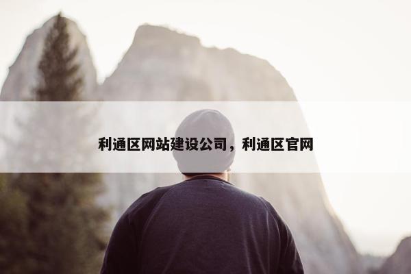 利通区网站建设公司，利通区官网