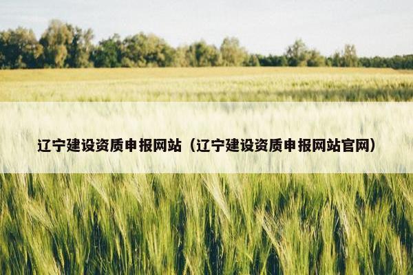 辽宁建设资质申报网站（辽宁建设资质申报网站官网）
