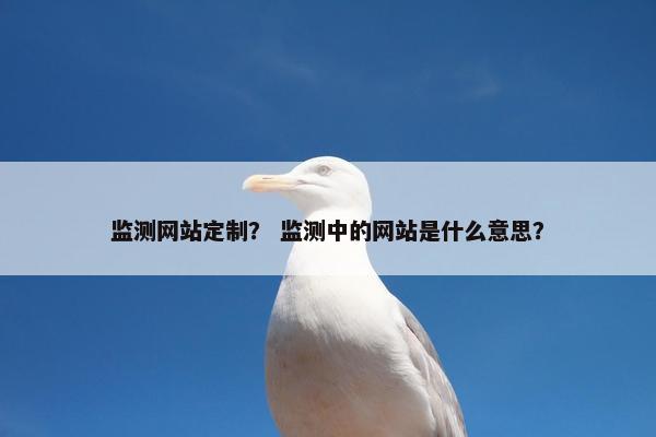 监测网站定制？ 监测中的网站是什么意思？