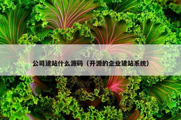 公司建站什么源码（开源的企业建站系统）