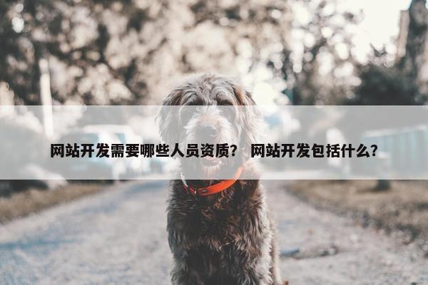 网站开发需要哪些人员资质？ 网站开发包括什么？