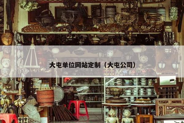 大屯单位网站定制（大屯公司）