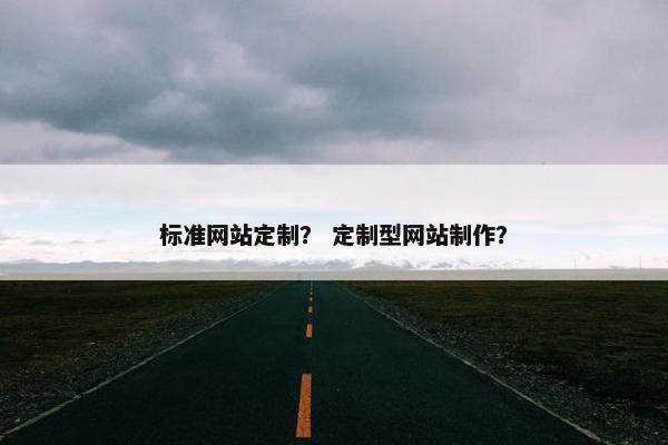 标准网站定制？ 定制型网站制作？