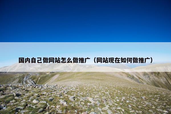 国内自己做网站怎么做推广（网站现在如何做推广）