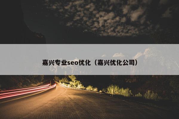 嘉兴专业seo优化（嘉兴优化公司）