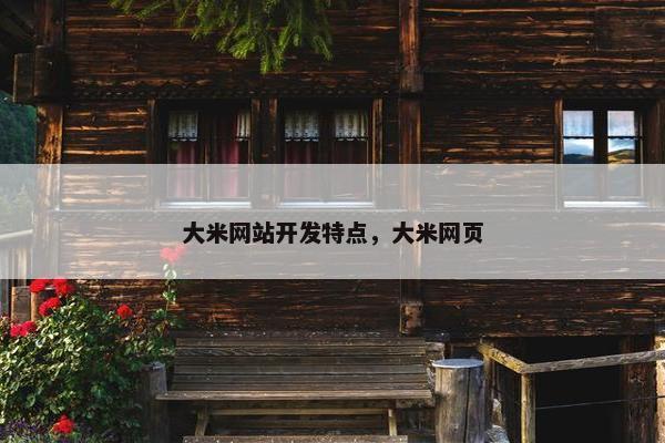 大米网站开发特点，大米网页