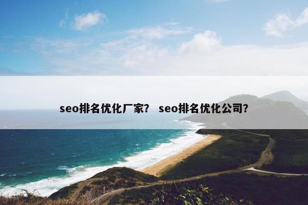 seo排名优化厂家？ seo排名优化公司？