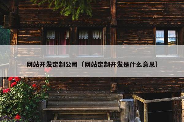 网站开发定制公司（网站定制开发是什么意思）