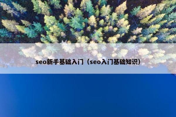 seo新手基础入门（seo入门基础知识）