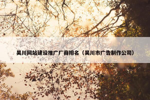 吴川网站建设推广厂商排名（吴川市广告制作公司）