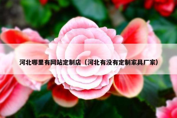 河北哪里有网站定制店（河北有没有定制家具厂家）