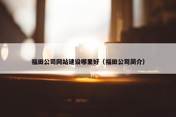 福田公司网站建设哪里好（福田公司简介）