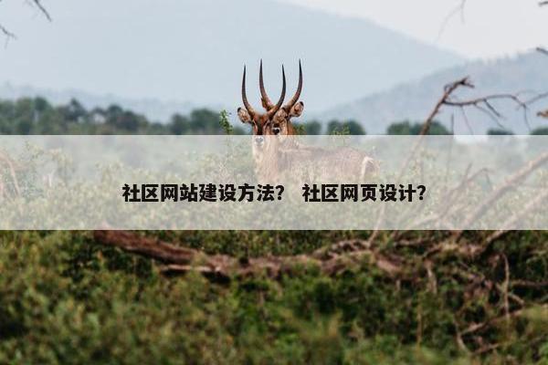 社区网站建设方法？ 社区网页设计？