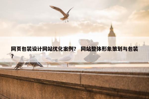网页包装设计网站优化案例？ 网站整体形象策划与包装？