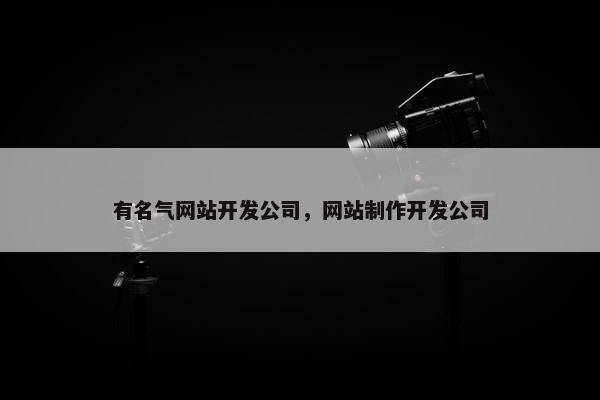 有名气网站开发公司，网站制作开发公司