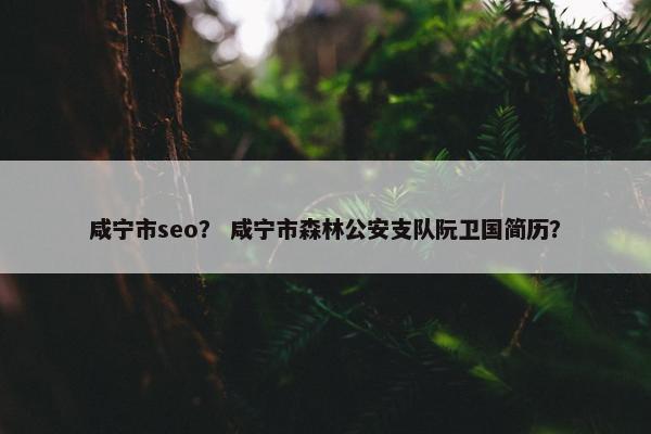 咸宁市seo？ 咸宁市森林公安支队阮卫国简历？