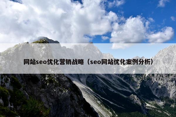 网站seo优化营销战略（seo网站优化案例分析）