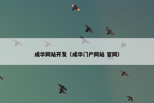 成华网站开发（成华门户网站 官网）