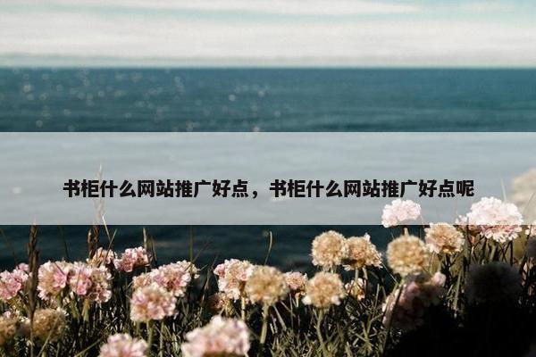 书柜什么网站推广好点，书柜什么网站推广好点呢