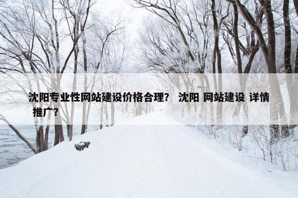 沈阳专业性网站建设价格合理？ 沈阳 网站建设 详情 推广？