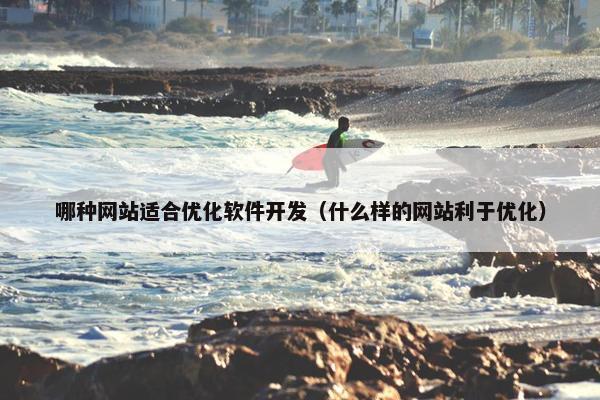 哪种网站适合优化软件开发（什么样的网站利于优化）