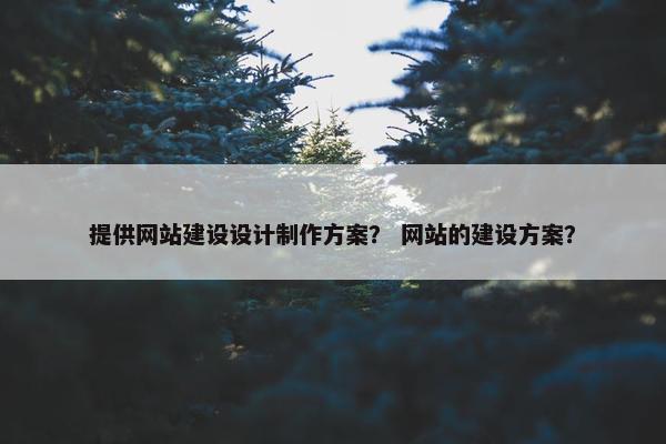 提供网站建设设计制作方案？ 网站的建设方案？
