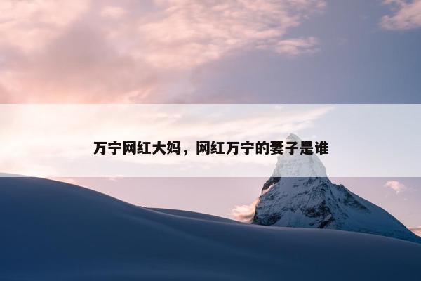万宁网红大妈，网红万宁的妻子是谁