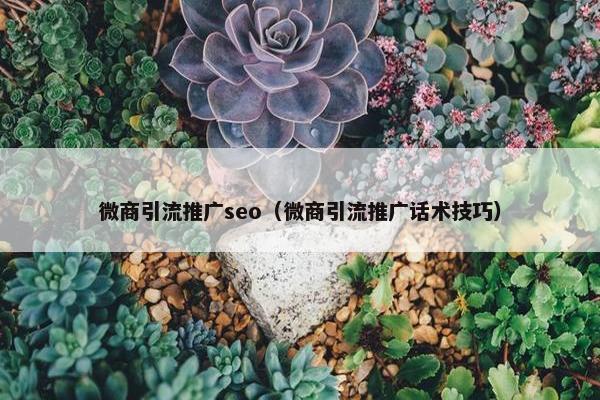 微商引流推广seo（微商引流推广话术技巧）