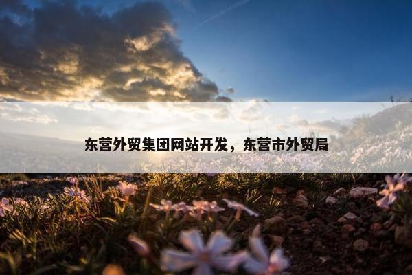 东营外贸集团网站开发，东营市外贸局