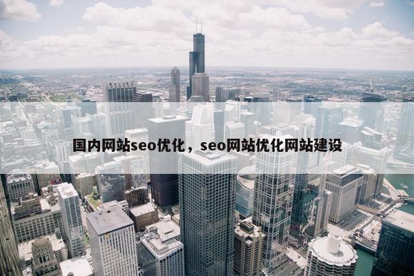 国内网站seo优化，seo网站优化网站建设