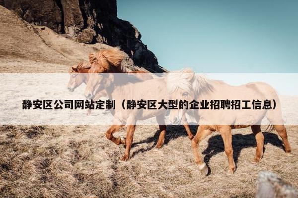 静安区公司网站定制（静安区大型的企业招聘招工信息）