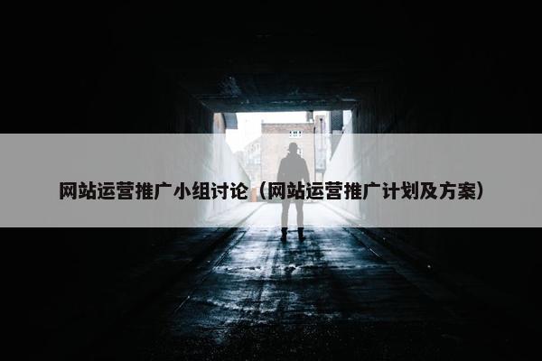 网站运营推广小组讨论（网站运营推广计划及方案）