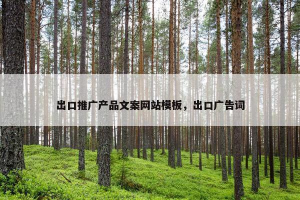 出口推广产品文案网站模板，出口广告词