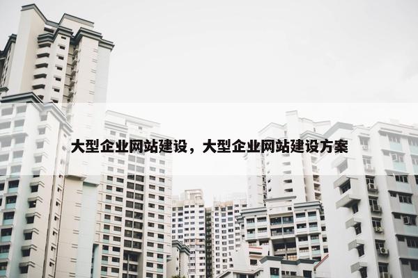 大型企业网站建设，大型企业网站建设方案