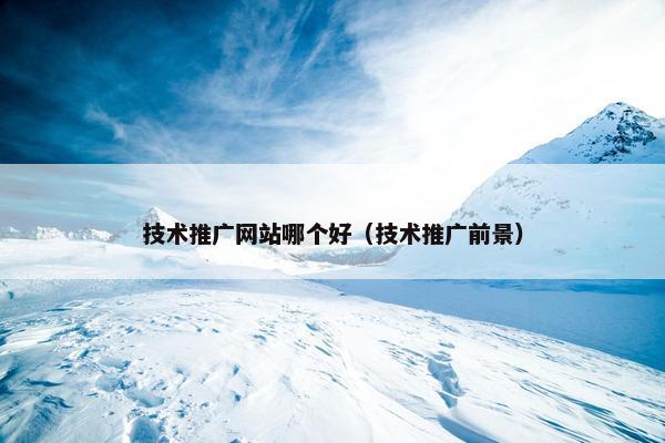 技术推广网站哪个好（技术推广前景）
