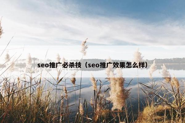 seo推广必杀技（seo推广效果怎么样）