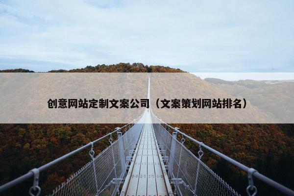 创意网站定制文案公司（文案策划网站排名）