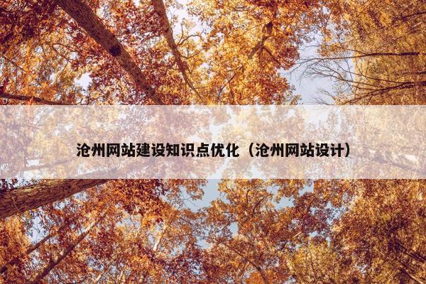 沧州网站建设知识点优化（沧州网站设计）