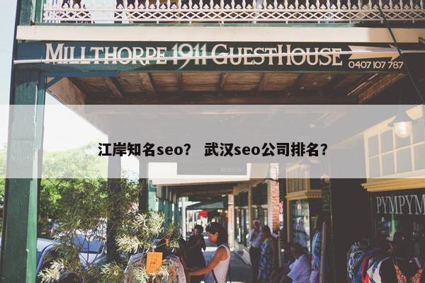 江岸知名seo？ 武汉seo公司排名？