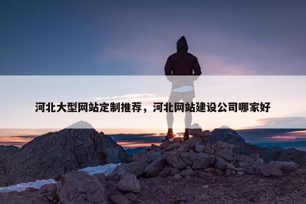 河北大型网站定制推荐，河北网站建设公司哪家好