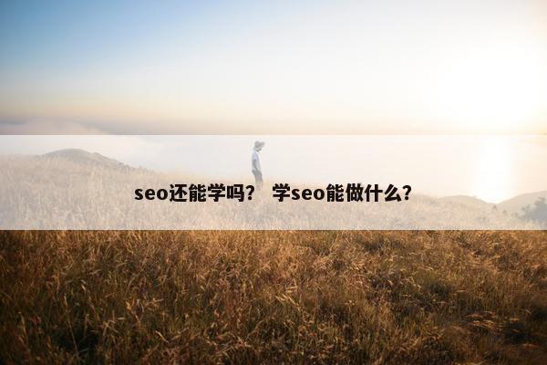 seo还能学吗？ 学seo能做什么？