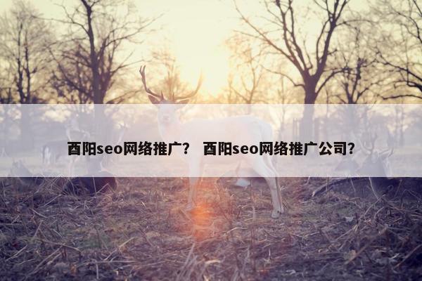 酉阳seo网络推广？ 酉阳seo网络推广公司？