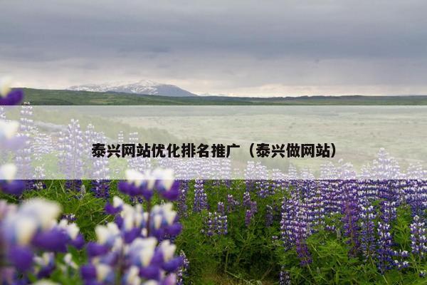 泰兴网站优化排名推广（泰兴做网站）