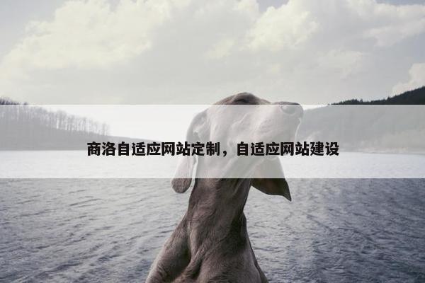商洛自适应网站定制，自适应网站建设