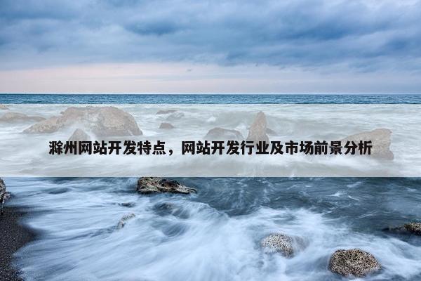 滁州网站开发特点，网站开发行业及市场前景分析