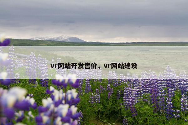 vr网站开发售价，vr网站建设
