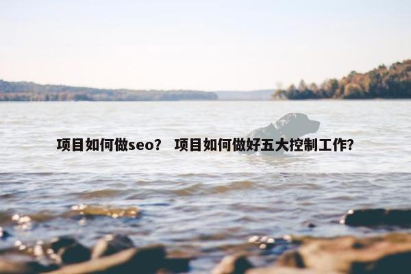 项目如何做seo？ 项目如何做好五大控制工作？