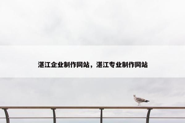 湛江企业制作网站，湛江专业制作网站
