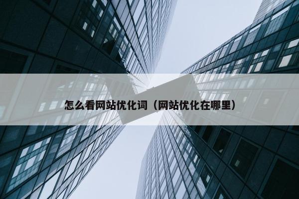 怎么看网站优化词（网站优化在哪里）